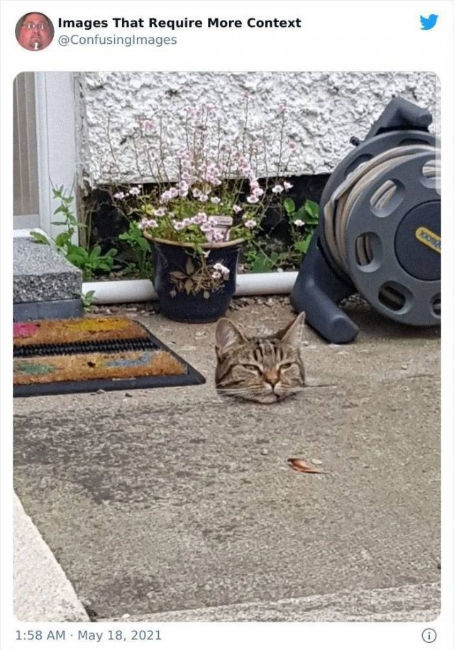 Explanation Needed (30 pics)