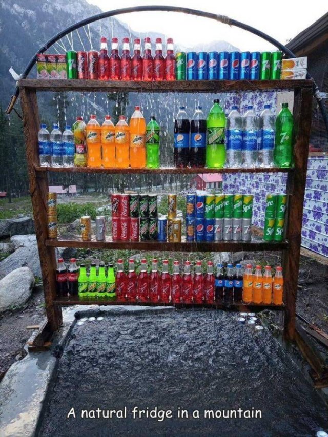 Acid Picdump 1 (87 pics)