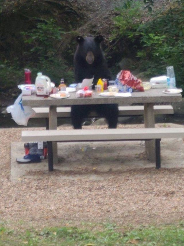 Acid Picdump 1 (87 pics)