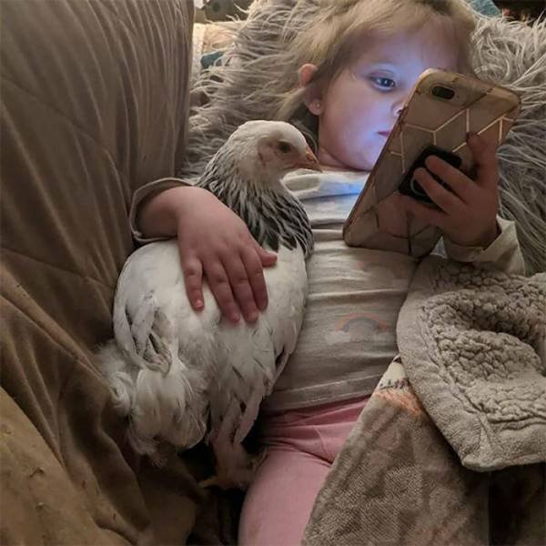 Acid Picdump 1 (87 pics)