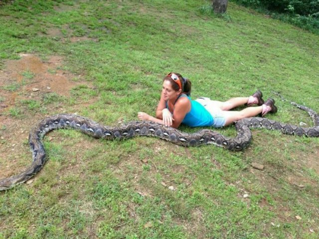 Acid Picdump 1 (87 pics)