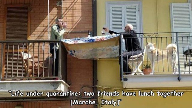 Acid Picdump 1 (87 pics)