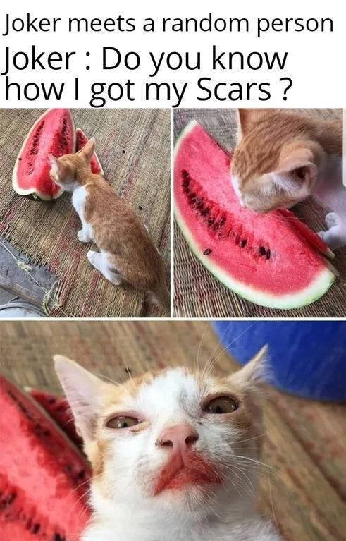 Acid Picdump 2 (84 pics)