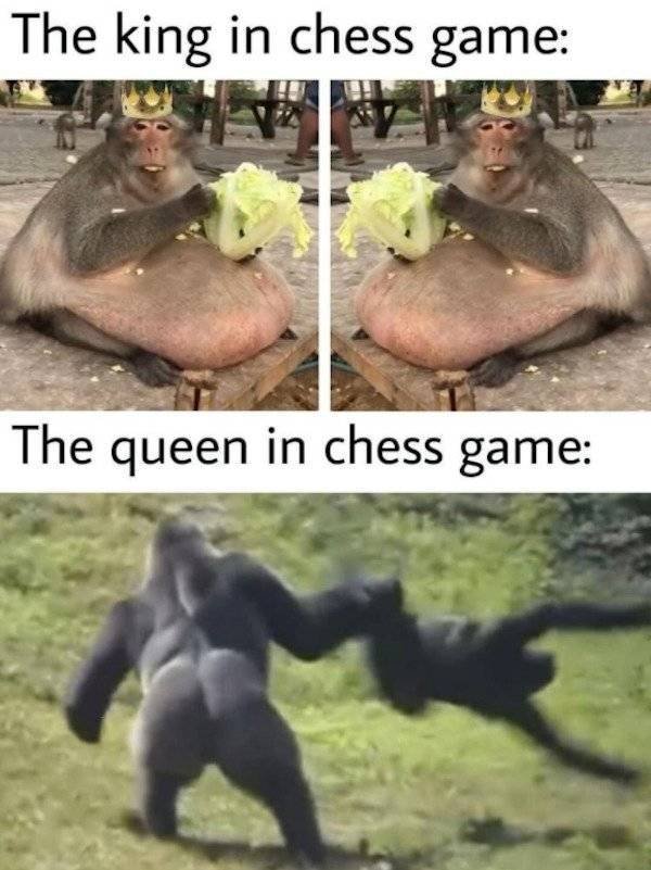 So True (54 pics)