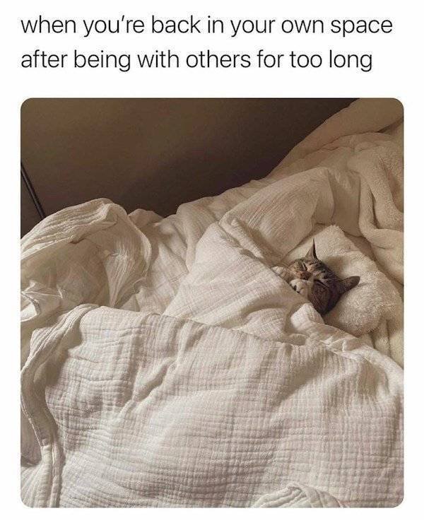 So True (54 pics)