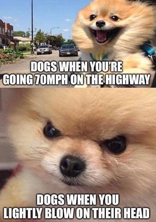 So True (54 pics)