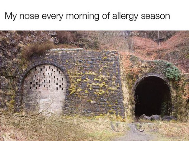 So True (54 pics)