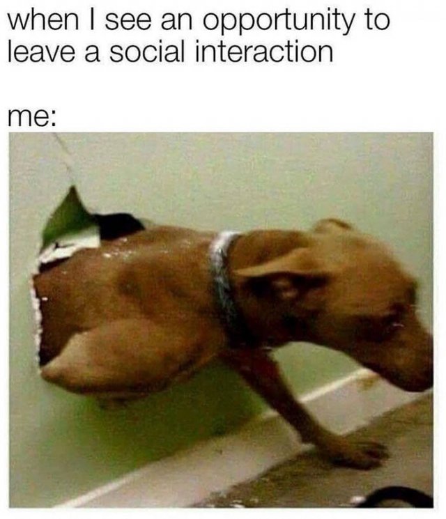 So True (54 pics)