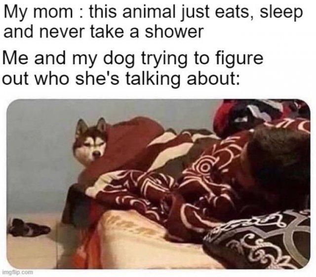 Acid Picdump 2 (84 pics)