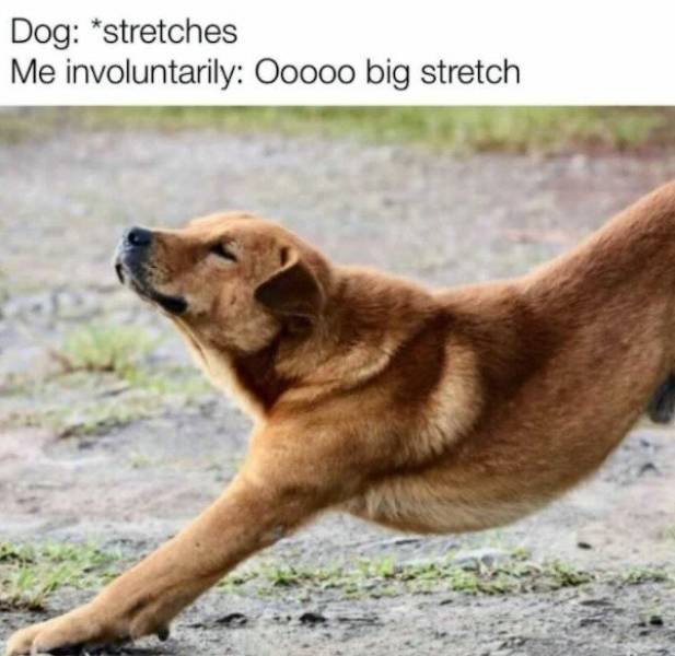 So True (54 pics)