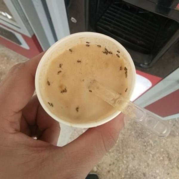 Food Fails (31 pics)