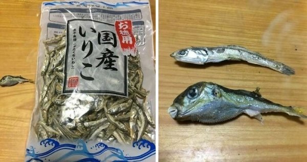 Food Fails (31 pics)