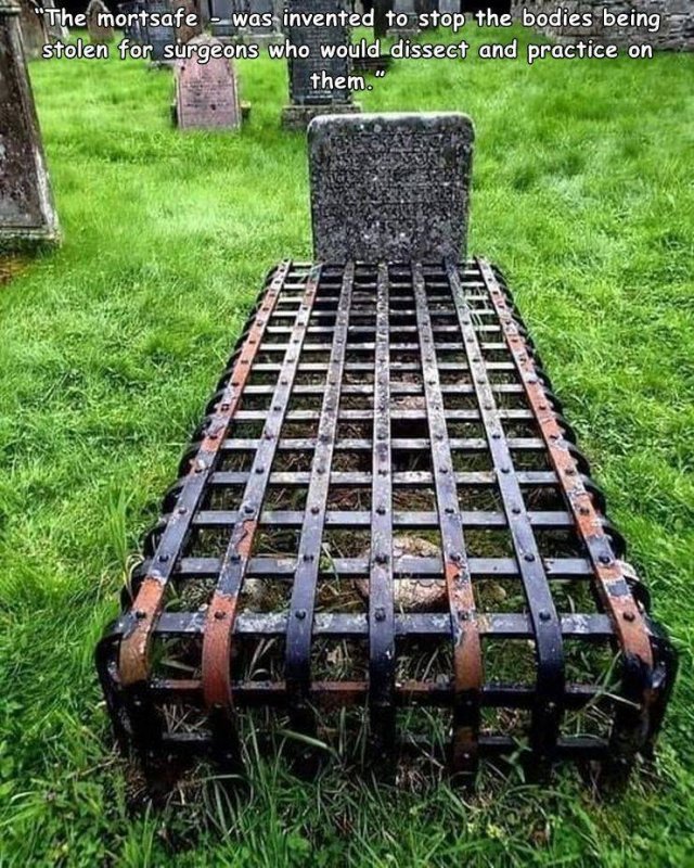 Acid Picdump 1 (55 pics)