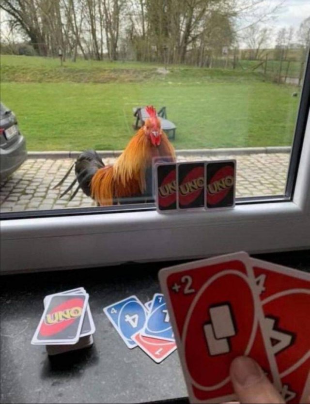 Acid Picdump 1 (55 pics)