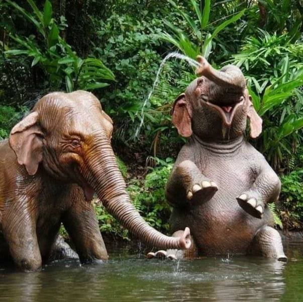 Acid Picdump 2 (48 pics)