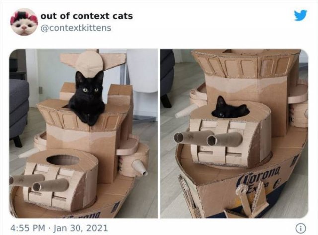Hilarious Cats (48 pics)
