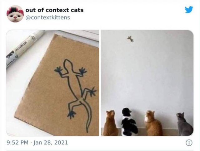 Hilarious Cats (48 pics)