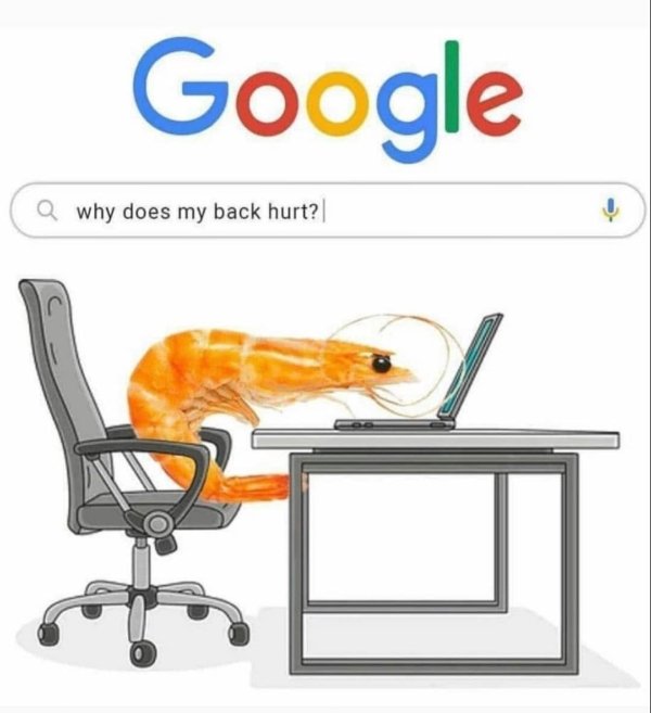 Random Funny Memes (25 pics)