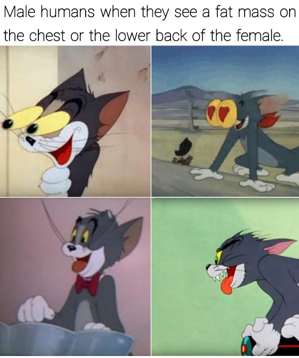Random Funny Memes (25 pics)