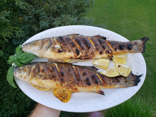 Hot Grill Pictures (39 pics)