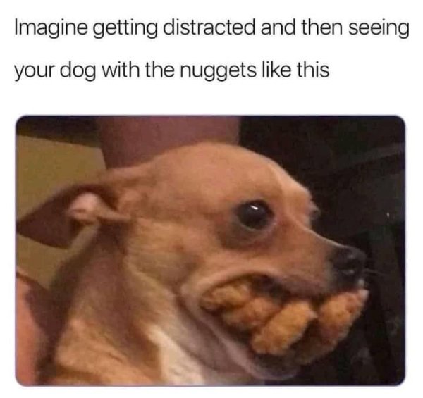 Random Funny Memes (25 pics)