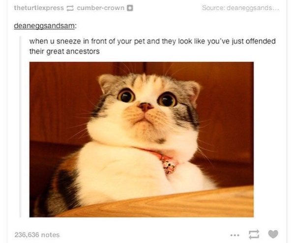 Random Funny Memes (25 pics)