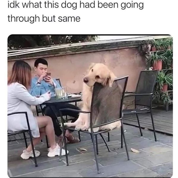 Random Funny Memes (25 pics)