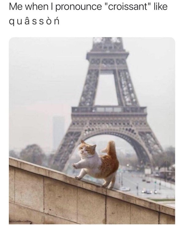 Random Funny Memes (25 pics)