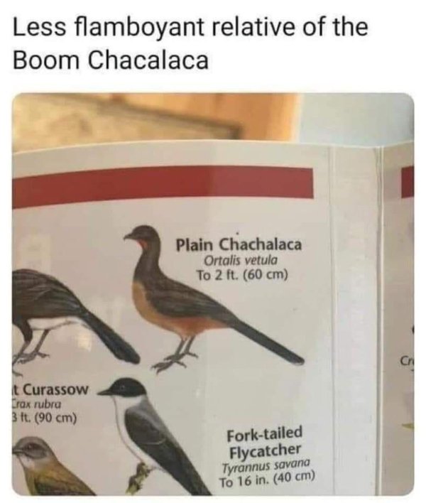 Random Funny Memes (25 pics)