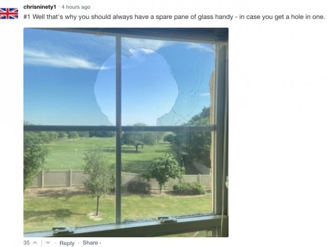 Sarcastic Comments (76 pics)