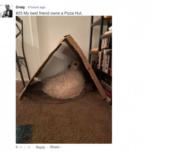 Sarcastic Comments (76 pics)