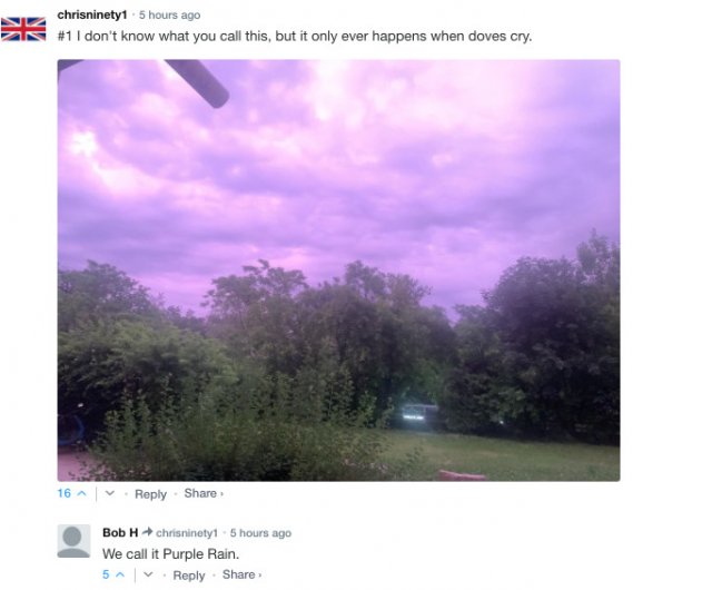 Sarcastic Comments (76 pics)