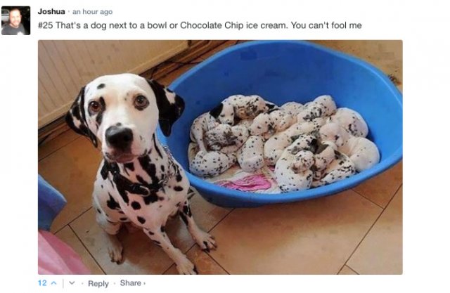 Sarcastic Comments (76 pics)