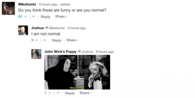 Sarcastic Comments (76 pics)