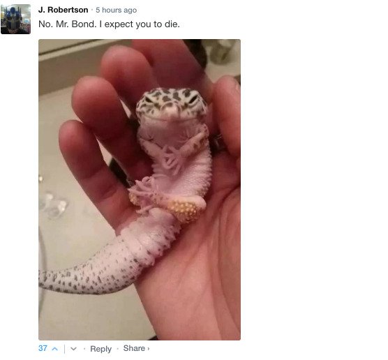 Sarcastic Comments (76 pics)