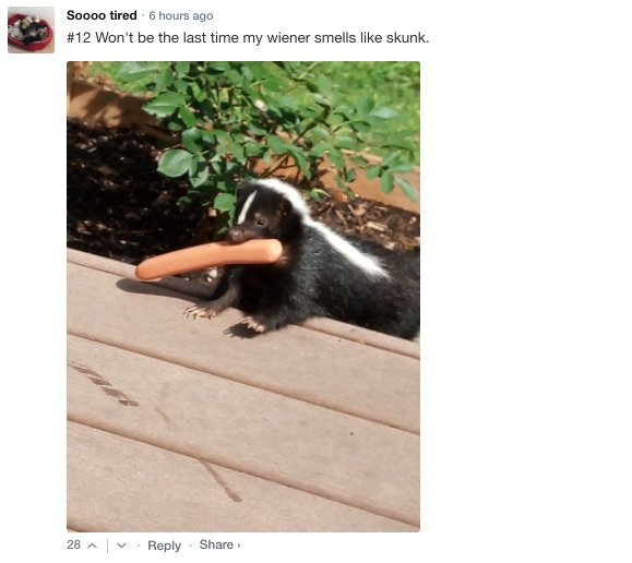 Sarcastic Comments (76 pics)