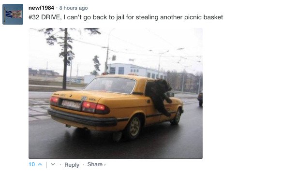 Sarcastic Comments (76 pics)