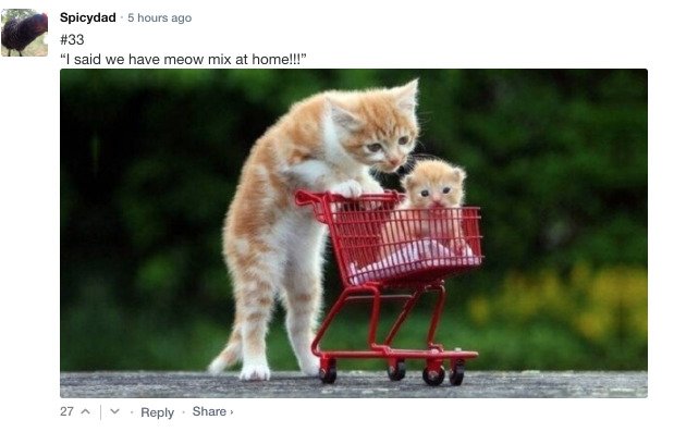 Sarcastic Comments (76 pics)