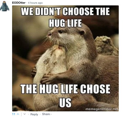 Sarcastic Comments (76 pics)