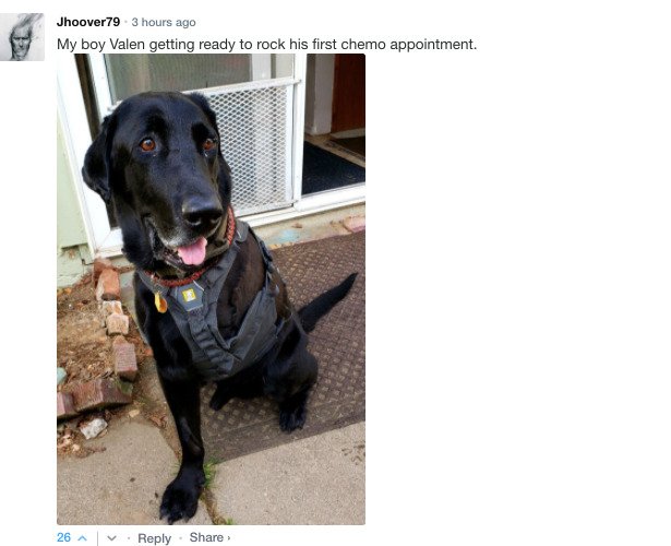 Sarcastic Comments (76 pics)