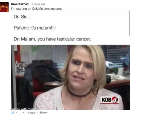 Sarcastic Comments (76 pics)