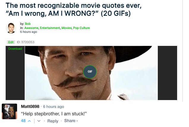 Sarcastic Comments (76 pics)
