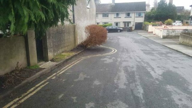 Almost Nailed It (43 pics)