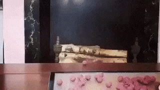 Acid Gifdump, July 5 (25 gifs)