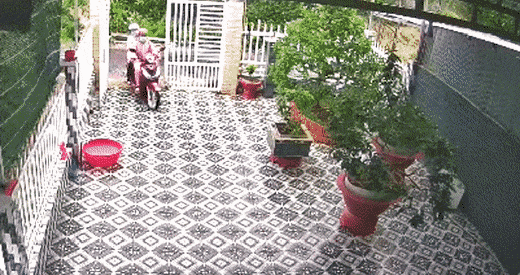 Acid Gifdump, July 5 (25 gifs)