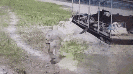 Acid Gifdump, July 5 (25 gifs)