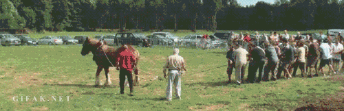 Acid Gifdump, July 5 (25 gifs)