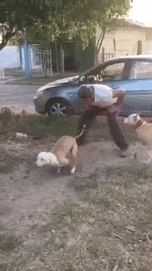 gifs_24.gif