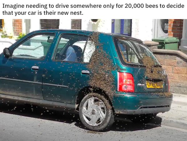 So True (35 pics)
