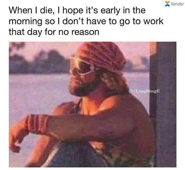 So True (35 pics)